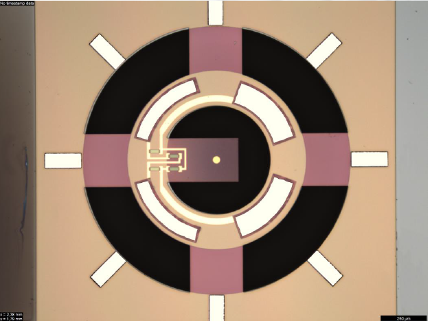 Customized Probe